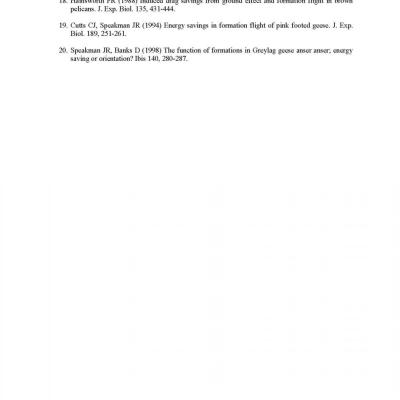 text, letter