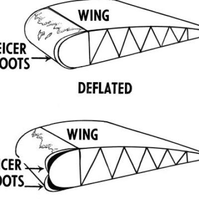 YAA-figure2