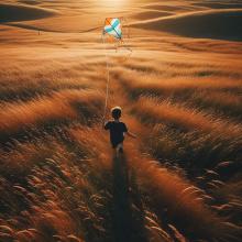 a person flying a kite in a field